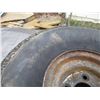 Image 3 : Mower Tire (20 x 8.00 - 8 NHS With Rim)