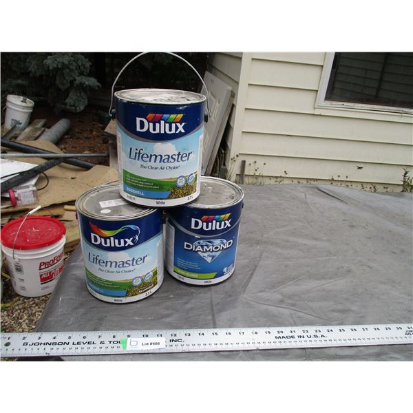 Dulux White Paint Full (3)