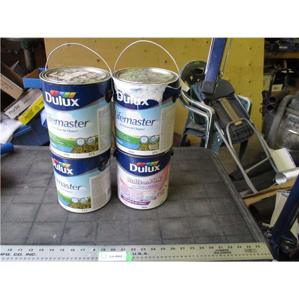 Dulux White Paint Full (4)