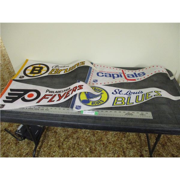 (2X THE MONEY) NHL Pennants (4)