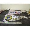 Image 3 : (2X THE MONEY) NHL Pennants (4)