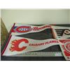 Image 2 : (2X THE MONEY) NHL Pennants (4)