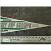 Image 3 : Sask Roughriders 1989 Pennant