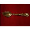 Image 1 : STEVENS POINT,WISCONSIN Collectors Spoon #2068404