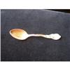 Image 1 : Sterling Spoon-Denver w/ Enameling #2068419