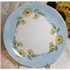 Image 1 : HP Victorian Rosenthal Plate in Daisies c1912  #2081326