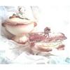Image 1 : Porcelain/China/Two Covered Dishes by #2081419