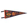 Image 1 : 1964 ROSE BOWL PASADENA Felt Pennant ILLINOIS #2082563