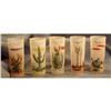 Five Blakley Oil Arizona Cactus Glasses #2082788