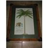 Image 1 : Royal Palm prints w Bamboo frames! #2083605