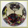 Image 1 : VINTAGE ART GLASS PAPERWEIGHT W 5 ANEMONE #2084004