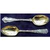Image 1 : 19 C AMERICAN ST SILVER GOLD WASH SPOON #2084032