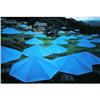 Image 1 : Christo   Blue Umbrellas #2100419