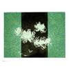 Image 1 : Guo Chang-An, Flower III, Signed, Ltd Edition #2100869