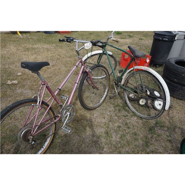 2 Adult Bikes.