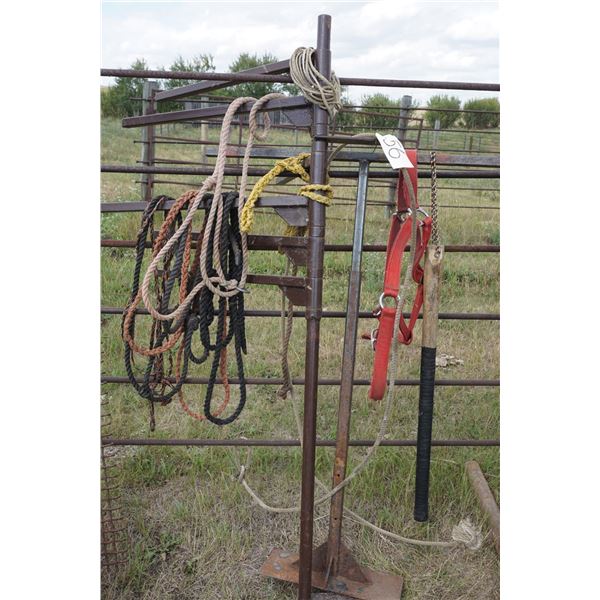 Saddle Stand & Halter, Lead Ropes.