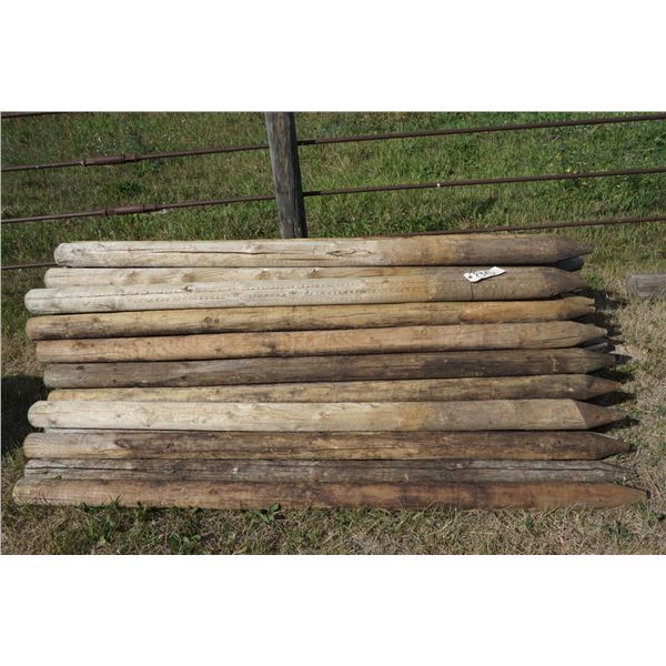 50 - 6ft Fence Posts.