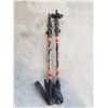 Image 2 : PAIR OF MOUNTAIN PROFILE SNOW SHOES AND POLES WITH CARRY BAG