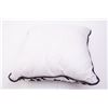 Image 8 : Throw Pillows x4