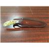 Image 2 : Fixed Blade Hunter Skinning Knife with leather sheath