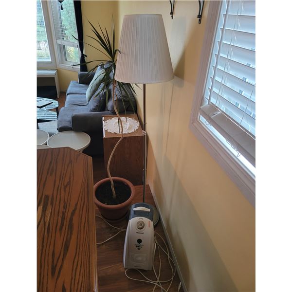 Humidifier - Lamp - Houseplant