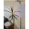 Image 3 : Humidifier - Lamp - Houseplant