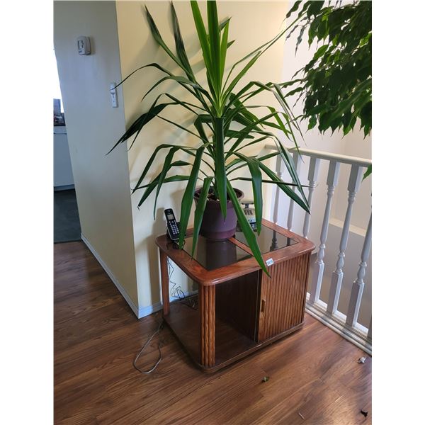 Houseplant - Bedroom Side Table - Telephone.