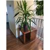Image 1 : Houseplant - Bedroom Side Table - Telephone.