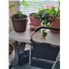 Image 1 : 2 Houseplants with Step Ladder