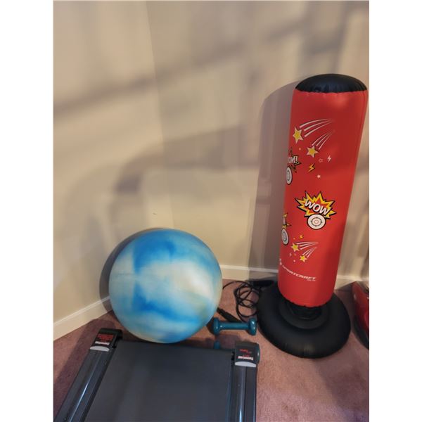 Punching Bag - Medicine Ball - Weights - Jump Rope