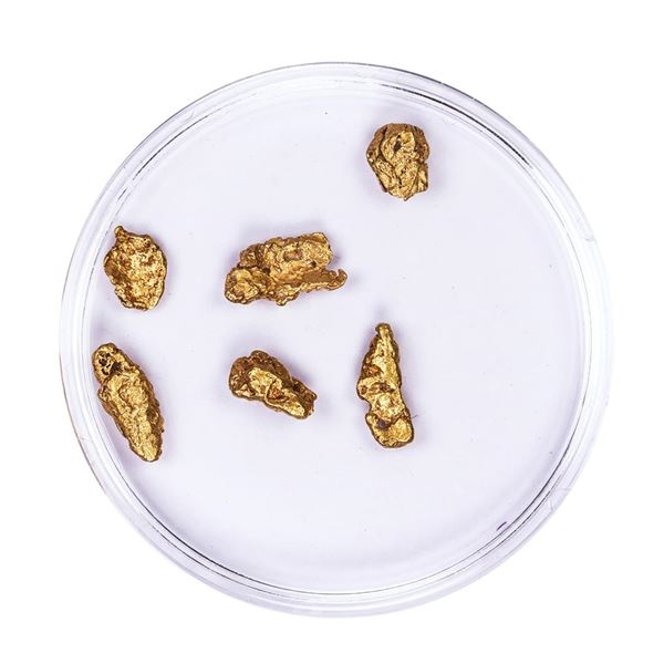 Lot of Gold Nuggets 3.02 grams Total Weight