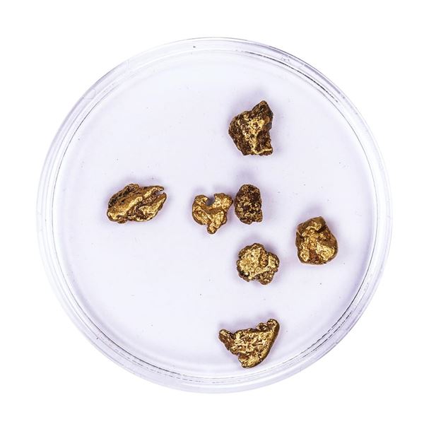 Lot of Gold Nuggets 2.45 grams Total Weight
