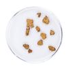 Image 1 : Lot of Gold Nuggets 1.53 Grams Total Weight