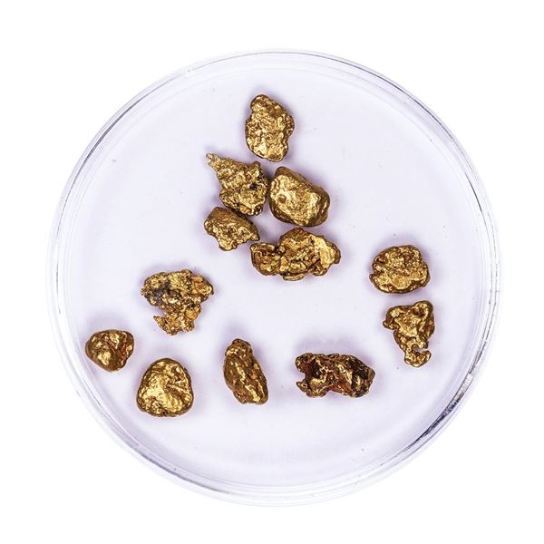 Lot of Gold Nuggets 5.22 grams Total Weight