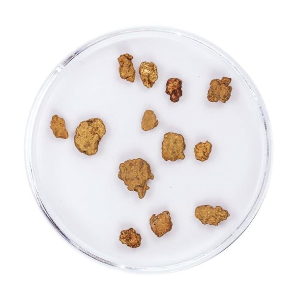 Lot of Gold Nuggets 1.96 Grams Total Weight