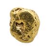 Image 1 : 8.49 Gram Yukon Gold Nugget