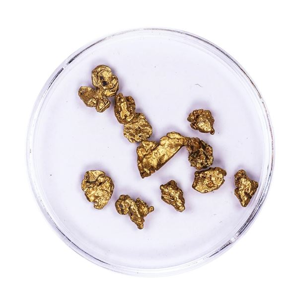 Lot of Gold Nuggets 3.79 grams Total Weight