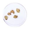 Image 1 : Lot of Gold Nuggets 2.52 grams Total Weight
