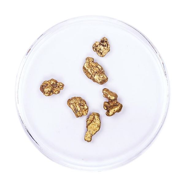 Lot of Gold Nuggets 2.48 grams Total Weight