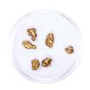 Image 2 : Lot of Gold Nuggets 2.48 grams Total Weight