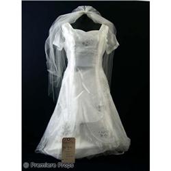 Southland Tales Dream (Amy Poehler) Hero Movie Costumes