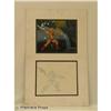 Image 1 : He-Man Animation Cels