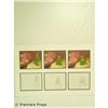Image 1 : Star Wars: Droids Animation Cels