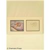 Image 1 : Thumbelina Animation Cels