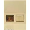 Image 1 : He-Man Animation Cels