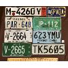 Image 1 : LOT OF 8 - INTERNATIONAL LICENSE PLATES - US, ARUBA, ETC.