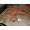 Image 1 : Lot of Belt