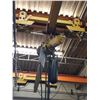 Image 3 : Pont Roulant / Hoist 5 ton 660v