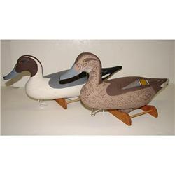 DAVE WALKER PINTAIL DECOYS