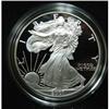 Image 1 : 2001 AMERICAN EAGLE SILVER DOLLAR